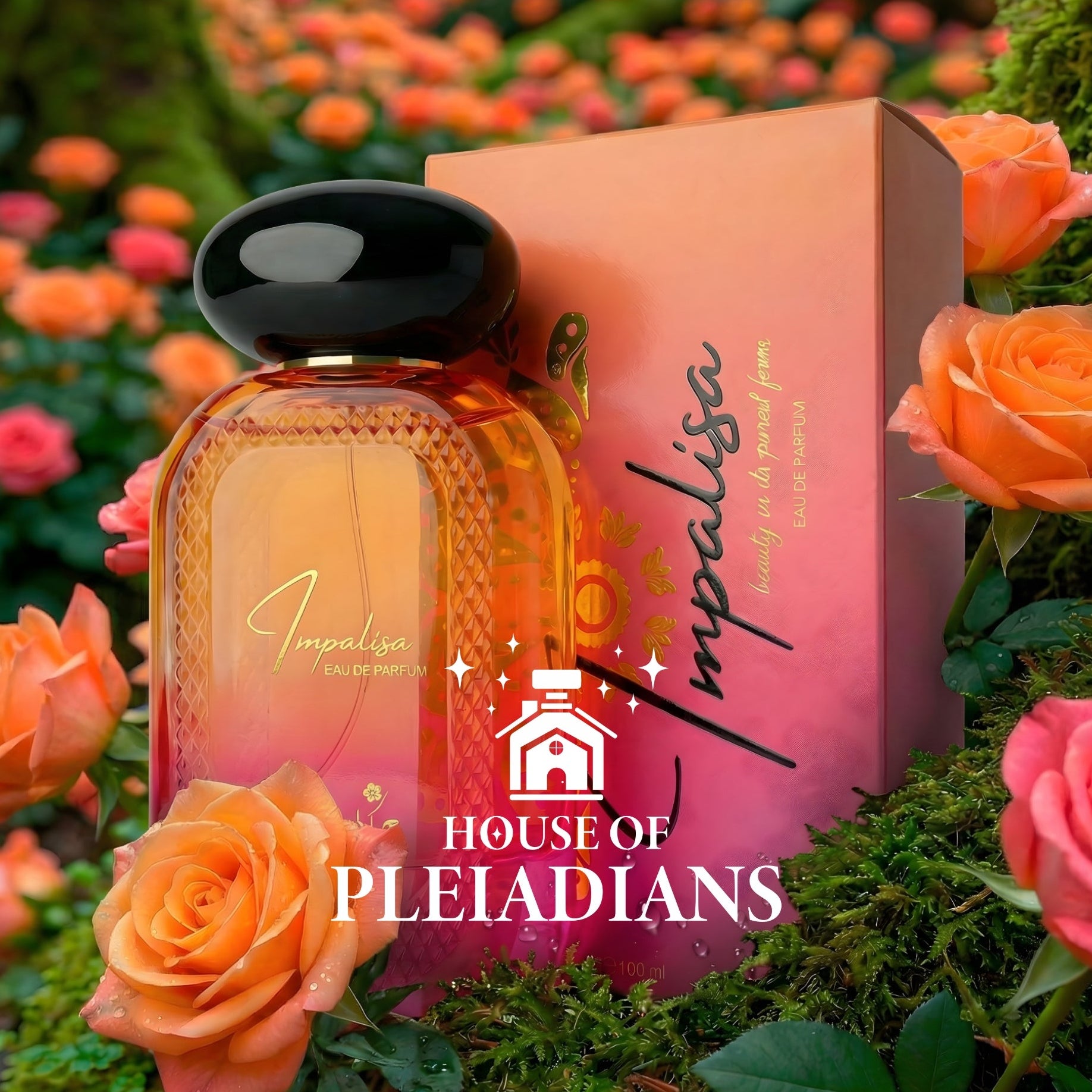 Impalisa-Hekayat-Attar-perfumes-uk