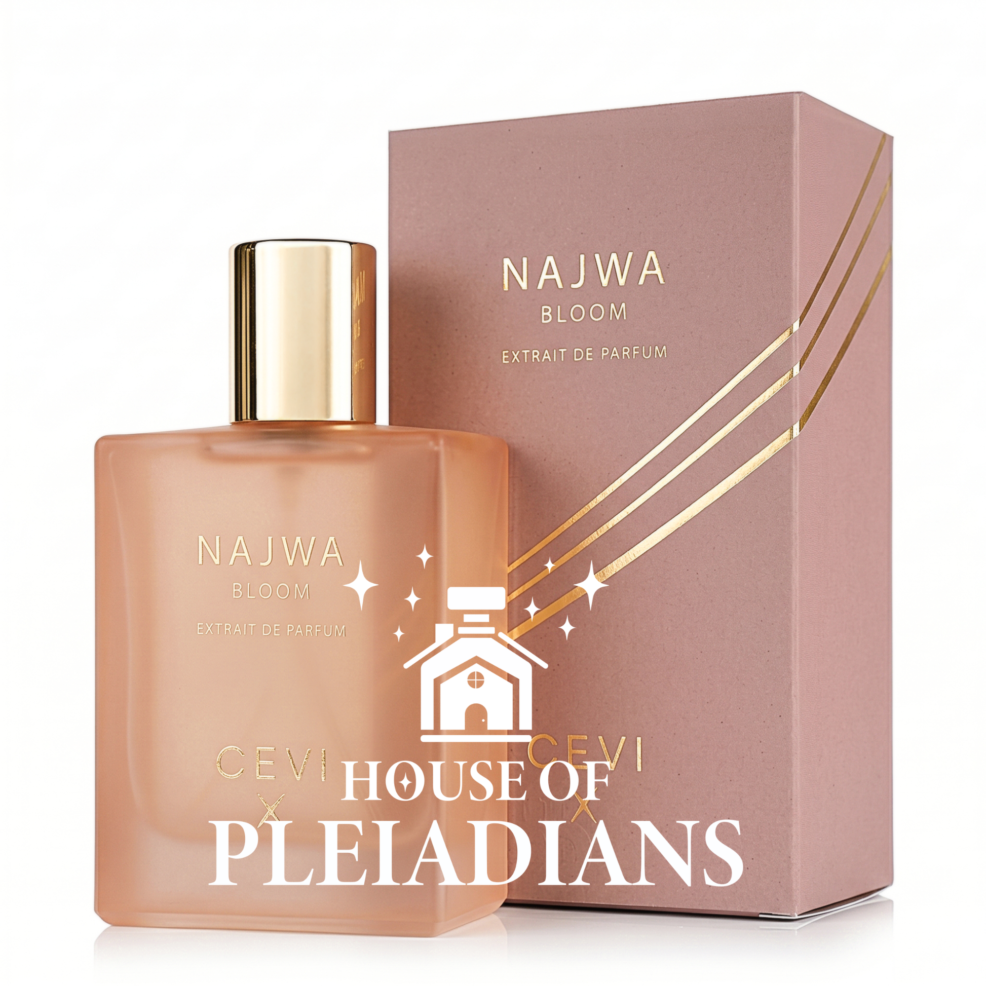 Najwa Bloom CEVI X perfume bottle and luxury blush pink packaging UK